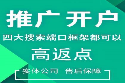 百度竞价推广托管的成功案例：从零到一的突破